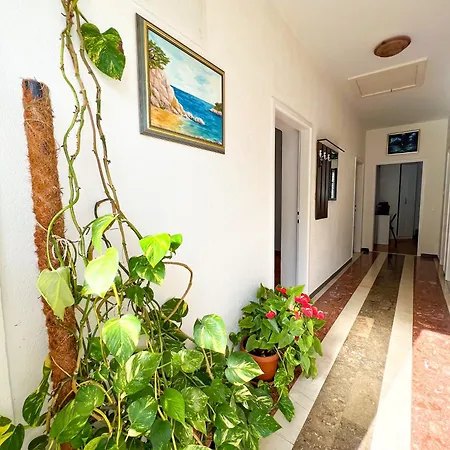 Bava Apartment Dubrovnik